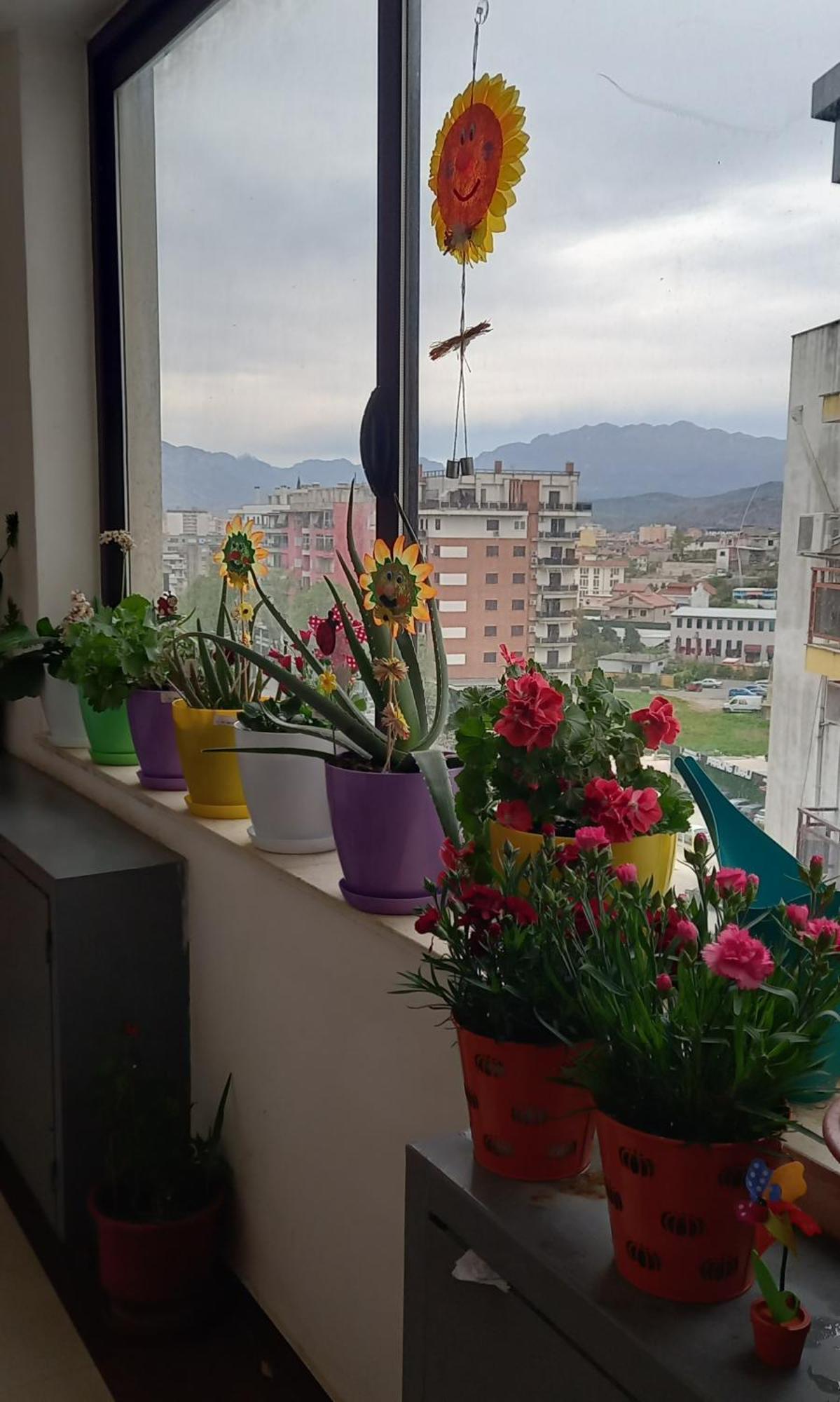 Panoramic Apartment Shkodër Exteriér fotografie